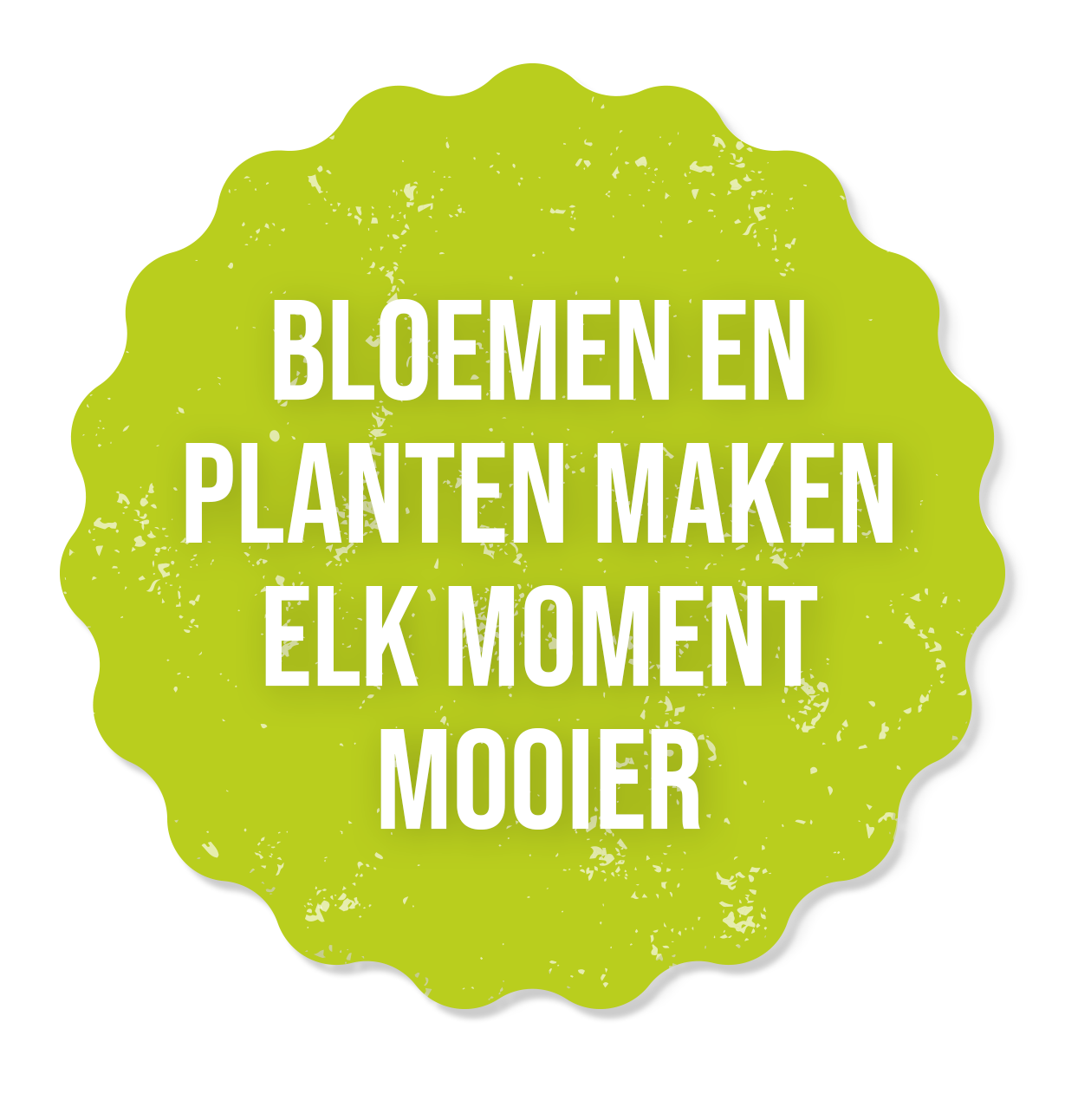 Tekst-sticker-NL Tekst-sticker-NL